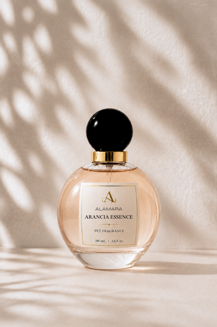Perfume bottle labeled 'Arancia Essence' on a beige background with shadow patterns