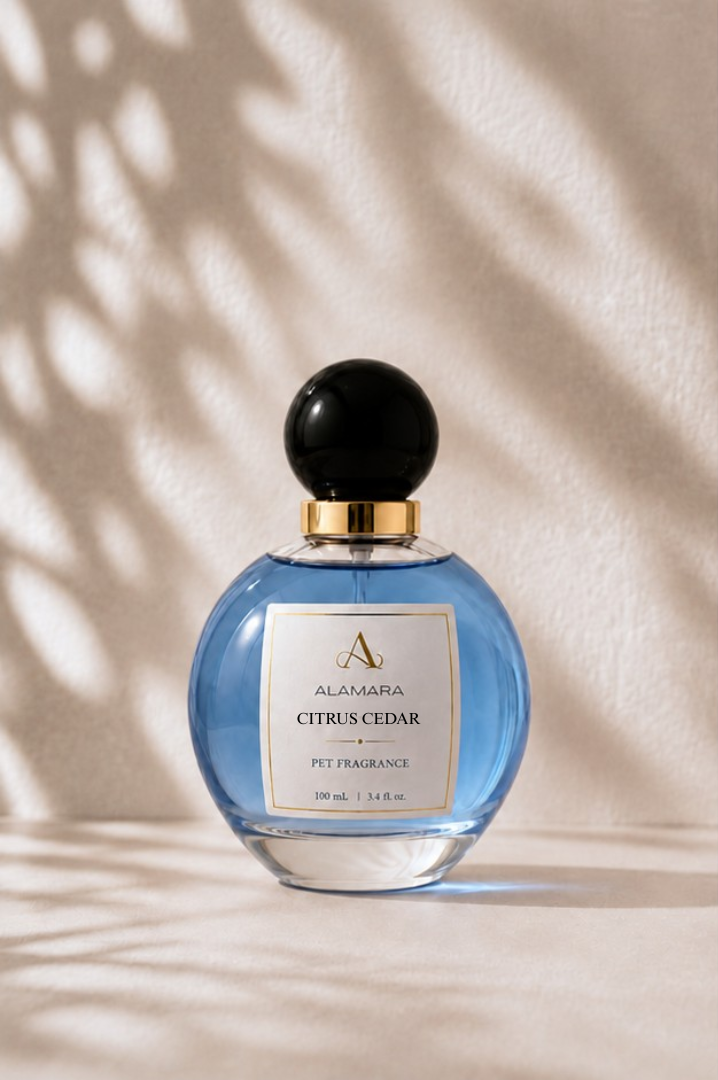 Perfume bottle with a black cap on a beige background