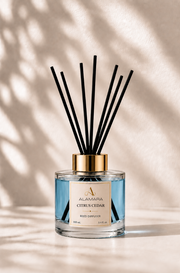 Reed diffuser with black sticks on a beige background