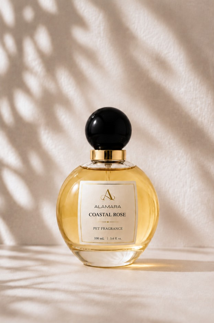Perfume bottle labeled 'Saffron Nights' by Alamara on a beige background with shadow patterns.