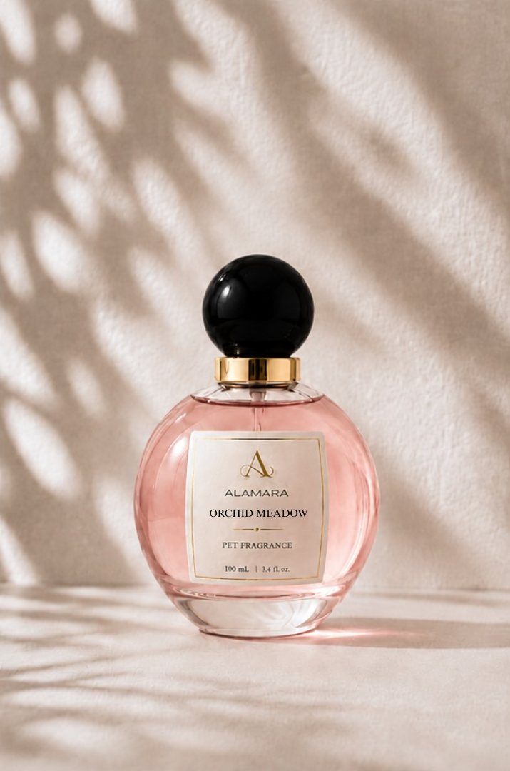 Perfume bottle with black cap and gold accents on a beige background