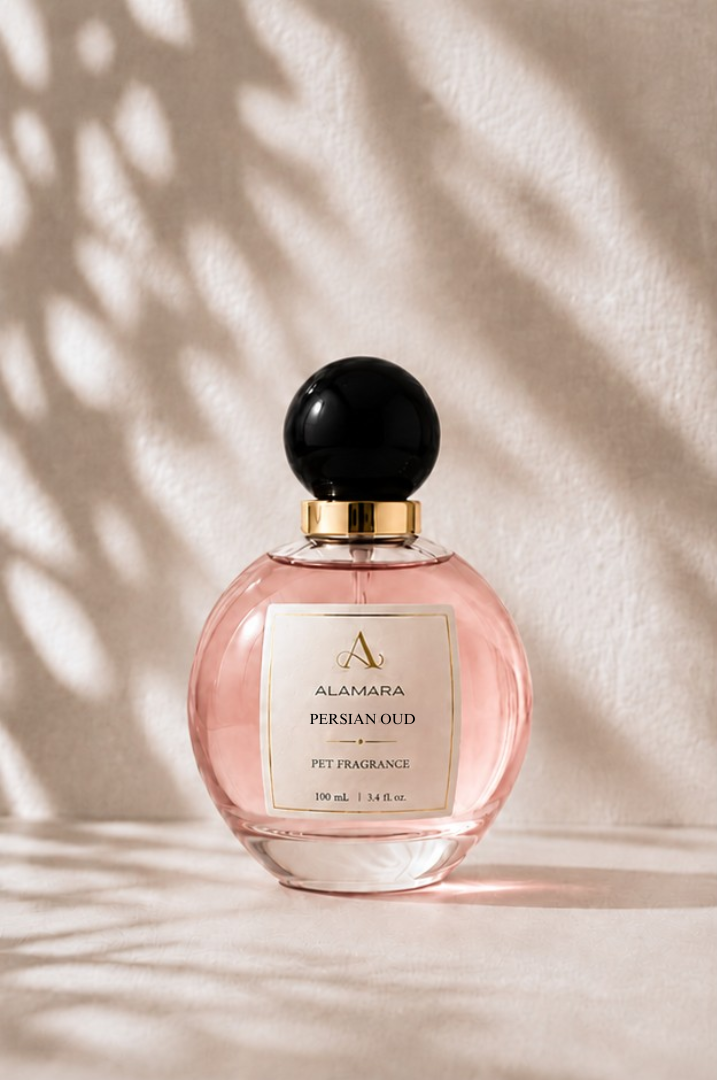 Perfume bottle with black cap and gold accents on a beige background